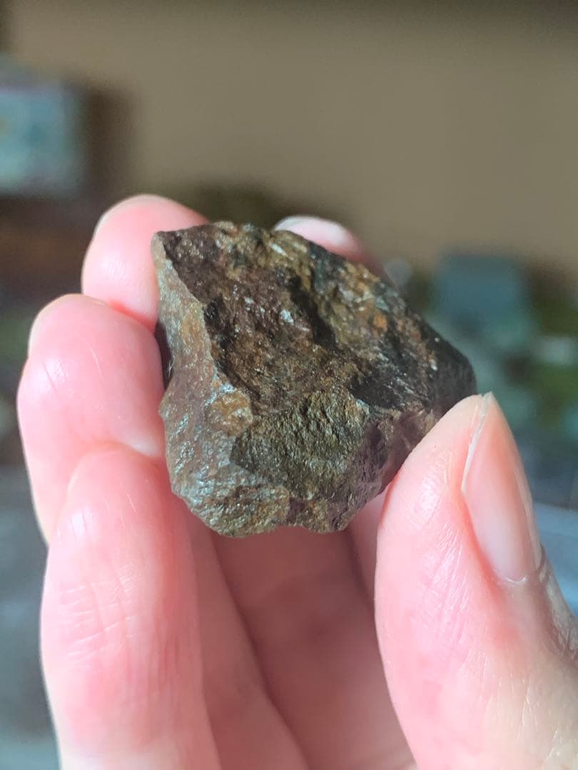 世界最古の石　46億年前の隕石コンドライト　太陽系最古の隕石　石質隕石　鉄隕石