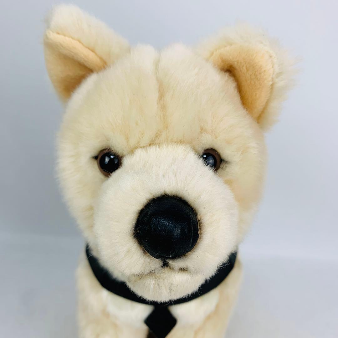 レア　国立科学博物館　秋田犬　ハチ　ぬいぐるみ　おすわり　ハチ号