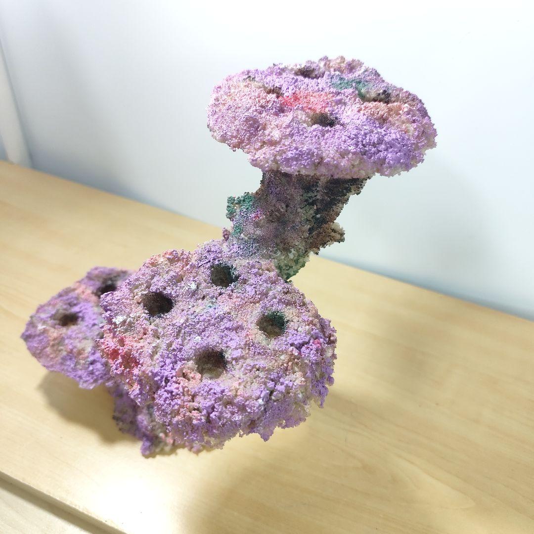 プラグ穴付き アク抜き不要人工ライブロック 海水水槽 レプリカ コーラルフラグ2