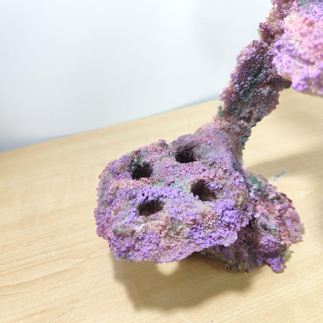 プラグ穴付き アク抜き不要人工ライブロック 海水水槽 レプリカ コーラルフラグ2