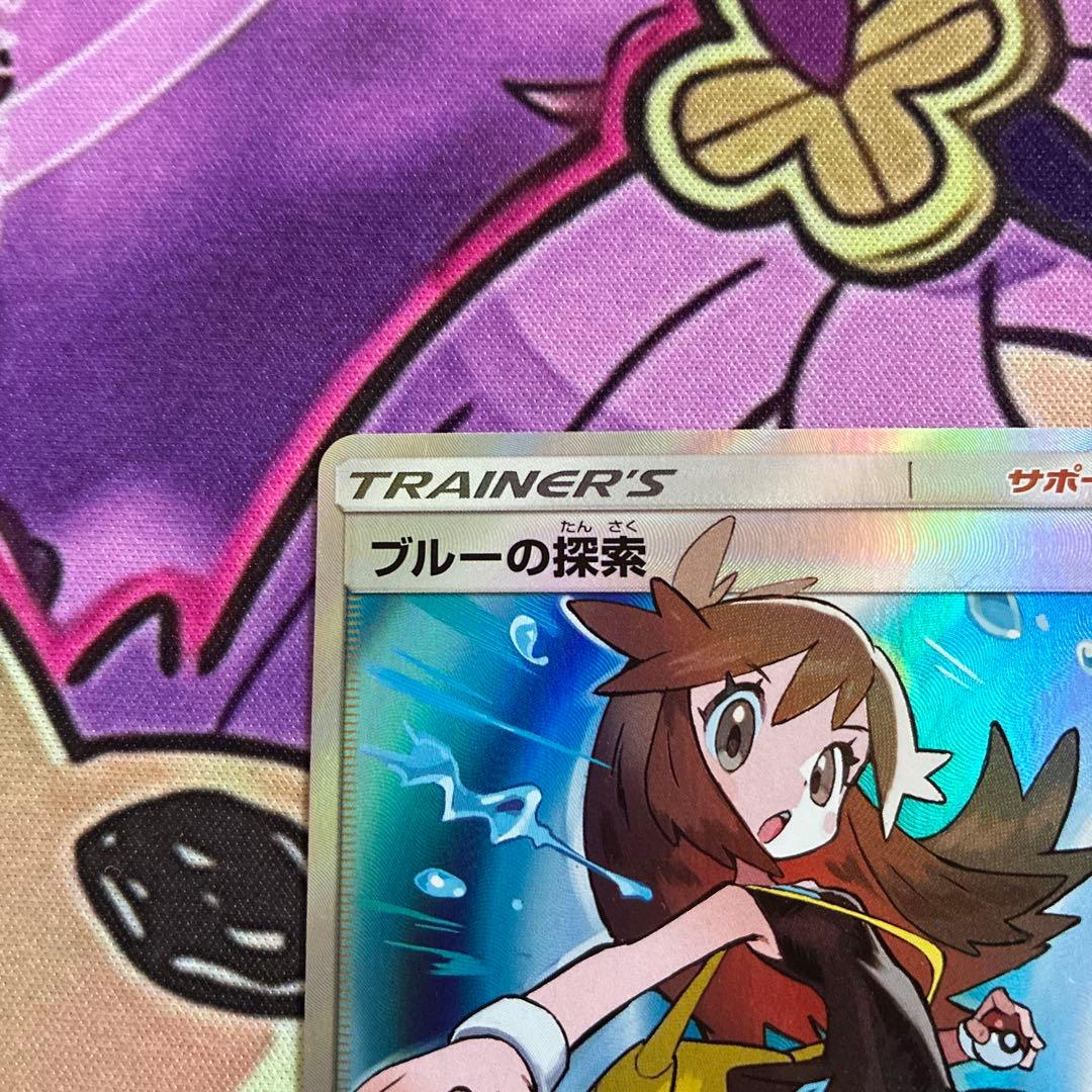 ブルーの探索 SR 亀あり