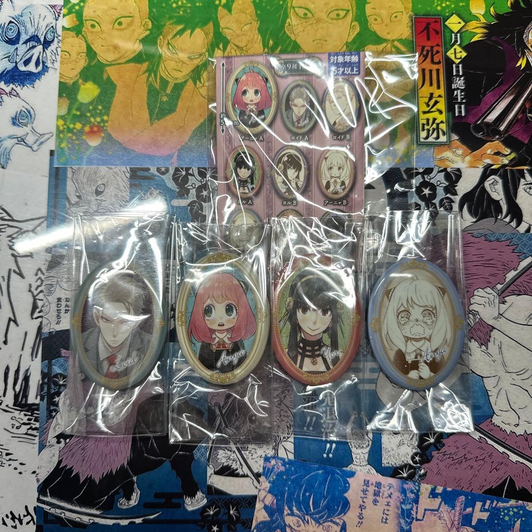 スパイファミリー　原作柄　額縁缶バッジ　トレーディング缶バッジ