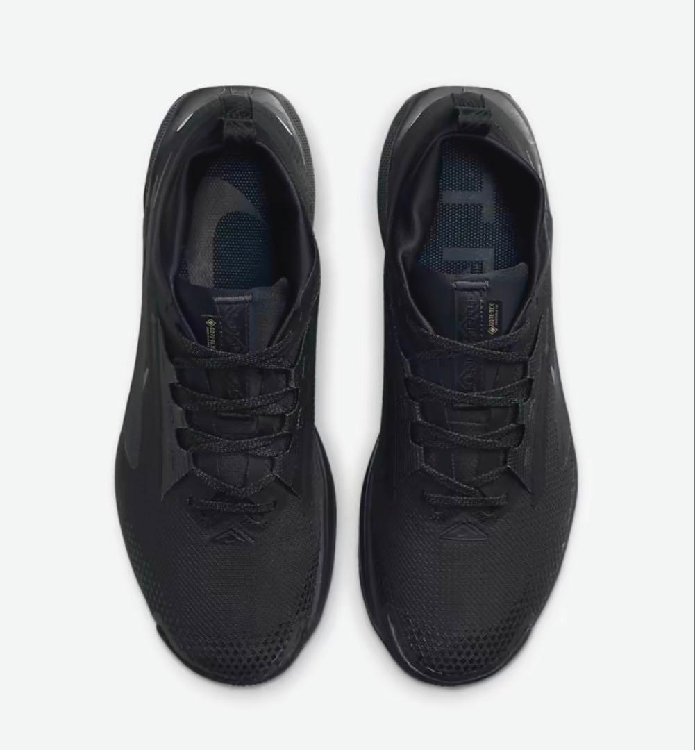 ナイキ ペガサス トレイル 5 GORE-TEX 27.5㎝