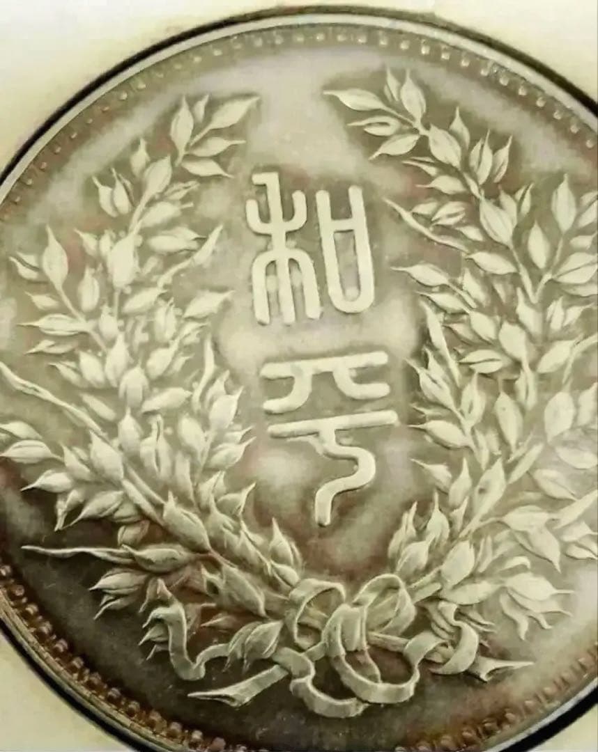 中国 银貨 段祺瑞 中華民国執政記念 銀圓 中国古銭 骨董品 银貨26.8g