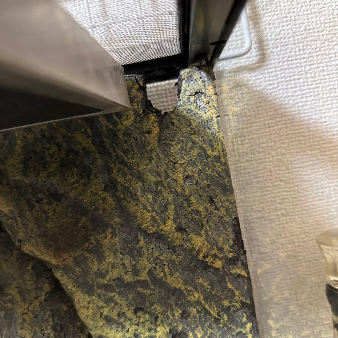 エキゾテラ　グラステラリウム3045 フルセット