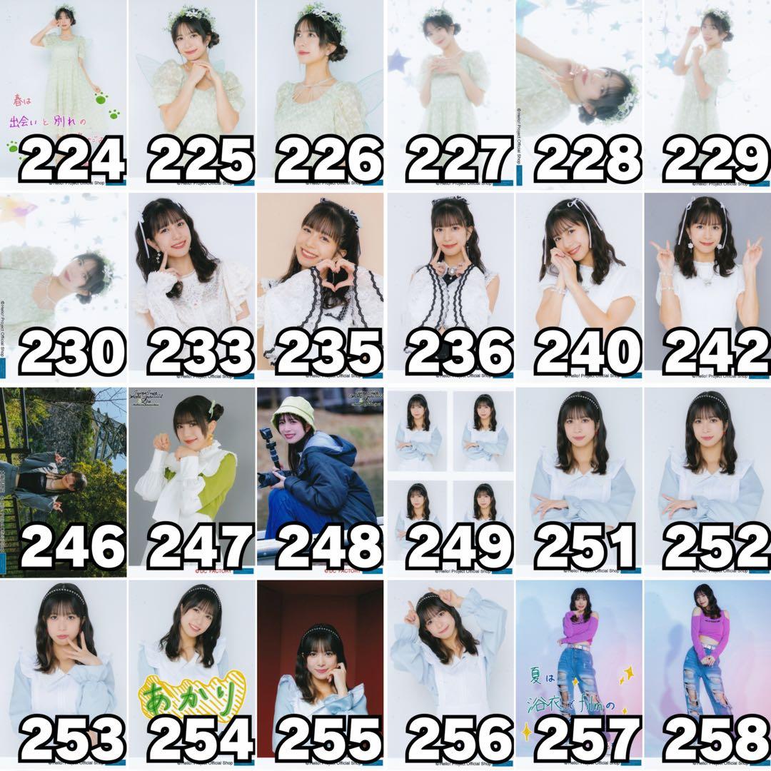 こぶしファクトリー/Juice=Juice 井上玲音さん 生写真182枚セット