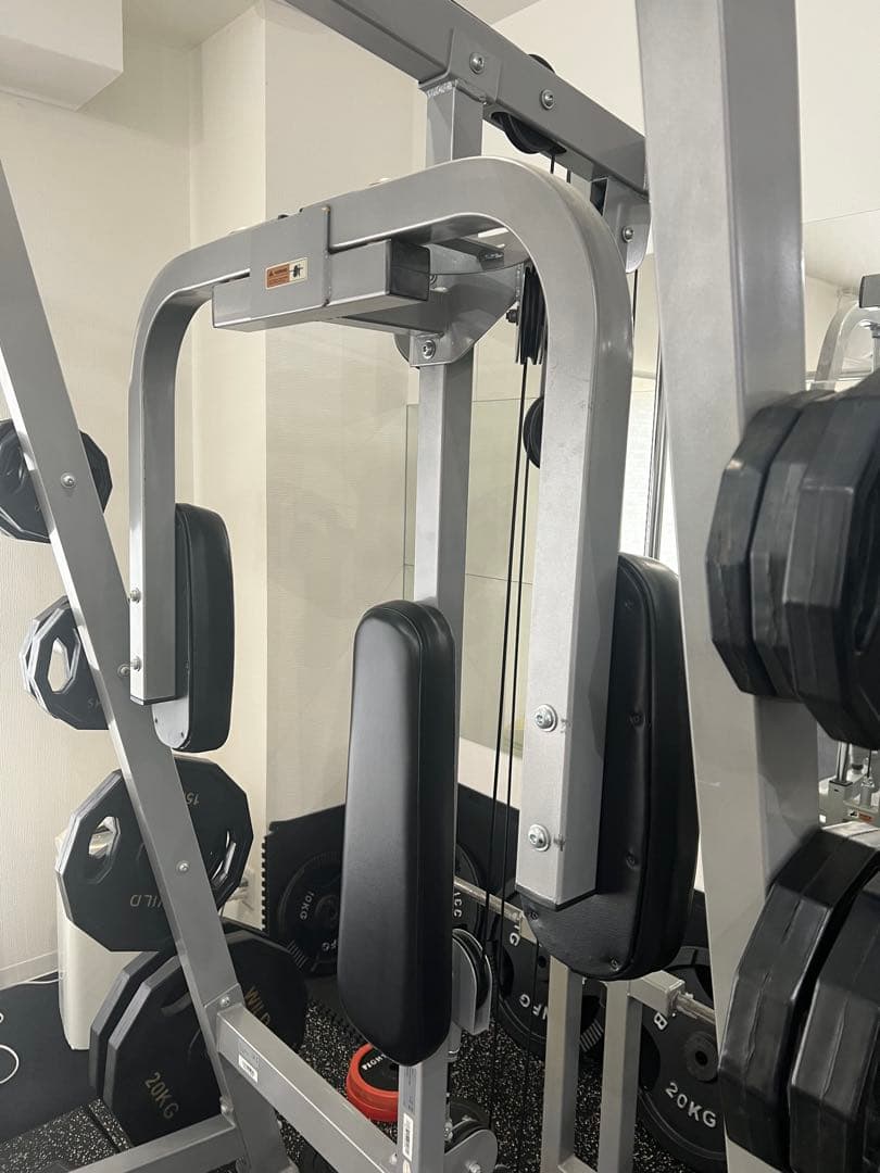 ワイルドフィット　パワーラック　スミスマシン　ラットプル　ペックフライ