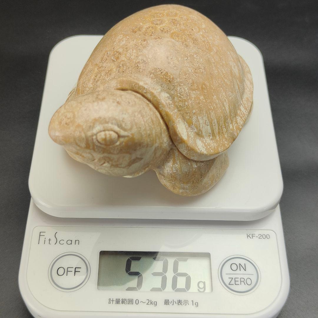 1 サンゴの化石　亀　(大)　天然石　 菊目石　珊瑚　コラール　縁起物　魔除け