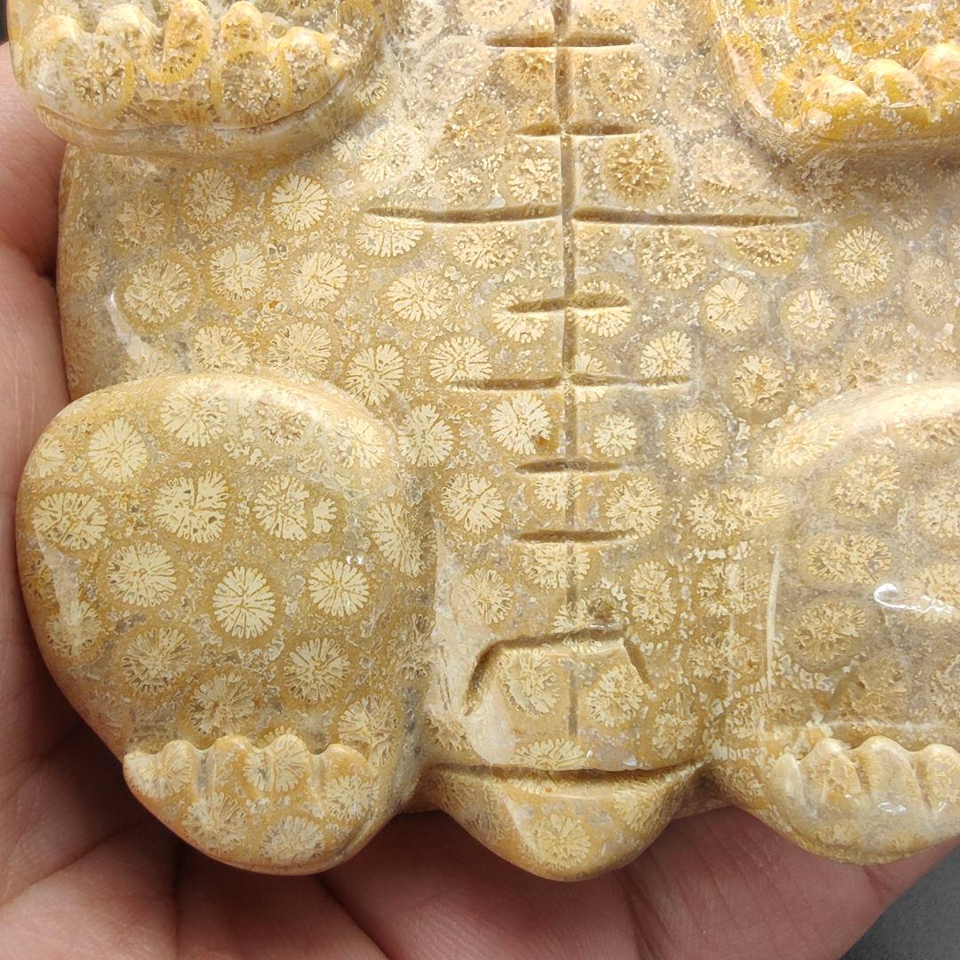 1 サンゴの化石　亀　(大)　天然石　 菊目石　珊瑚　コラール　縁起物　魔除け