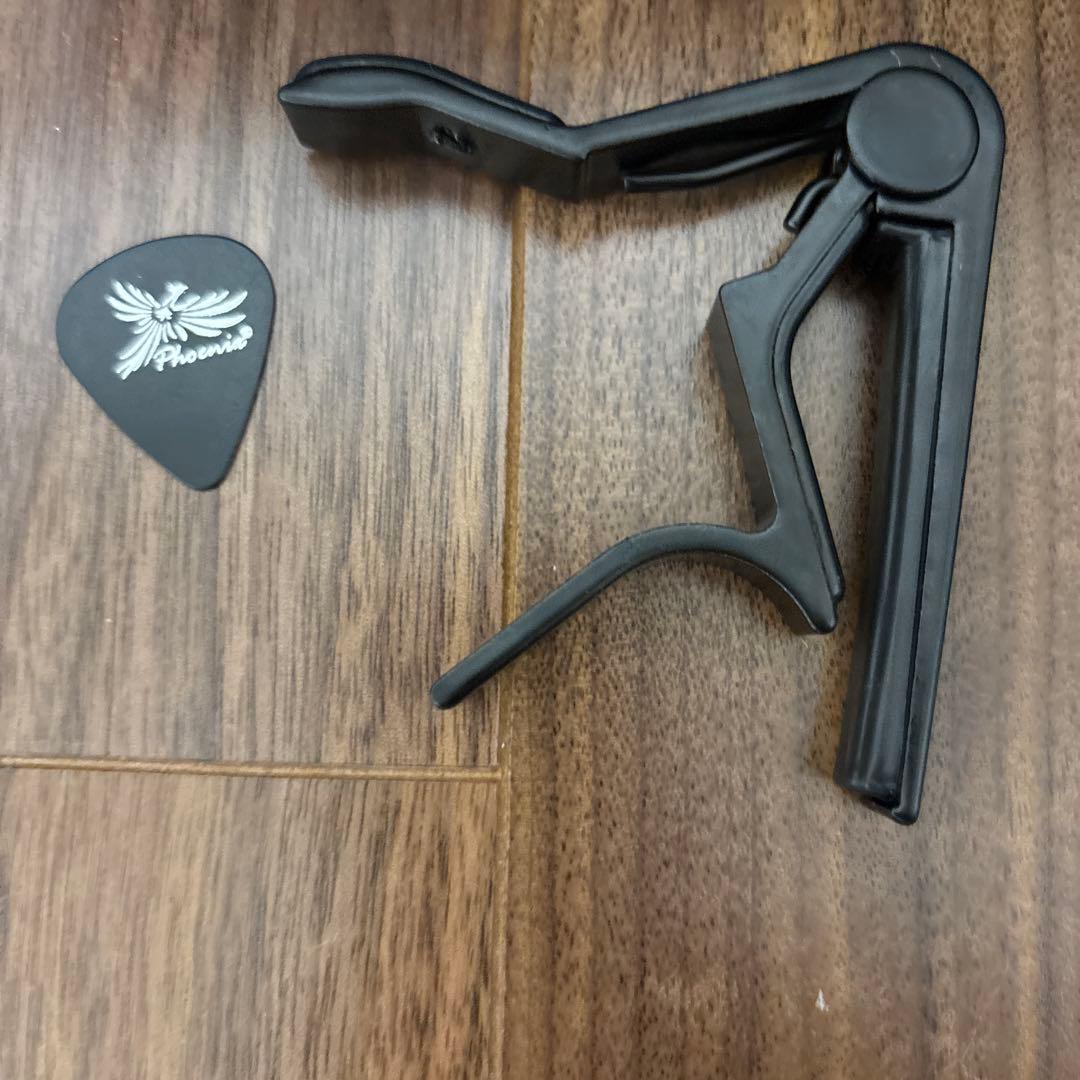 YAMAHA FG-201B ハードケース付き