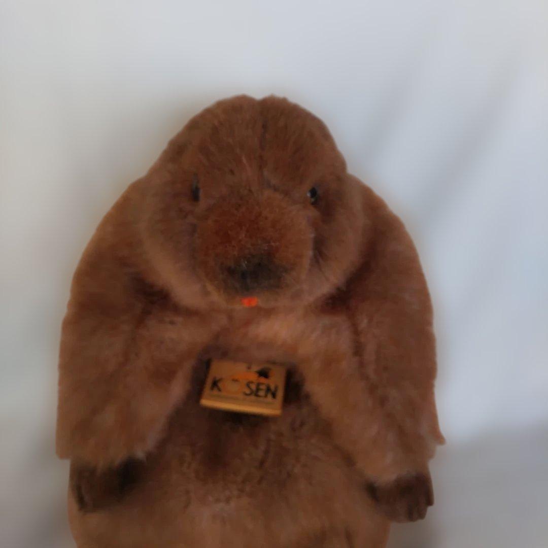 KOSEN社製　 マーモット 　ぬいぐるみ