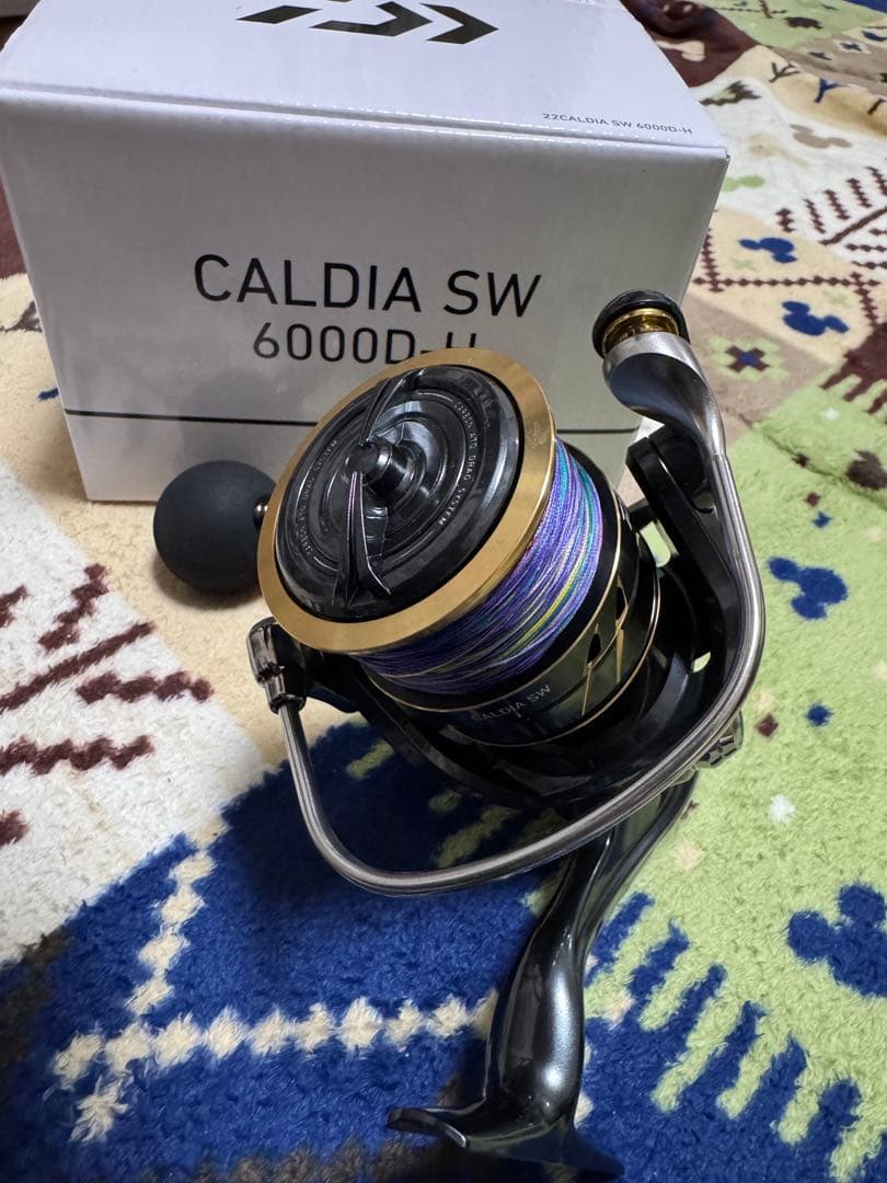 週末値下げ　CALDIA SW 6000D-H