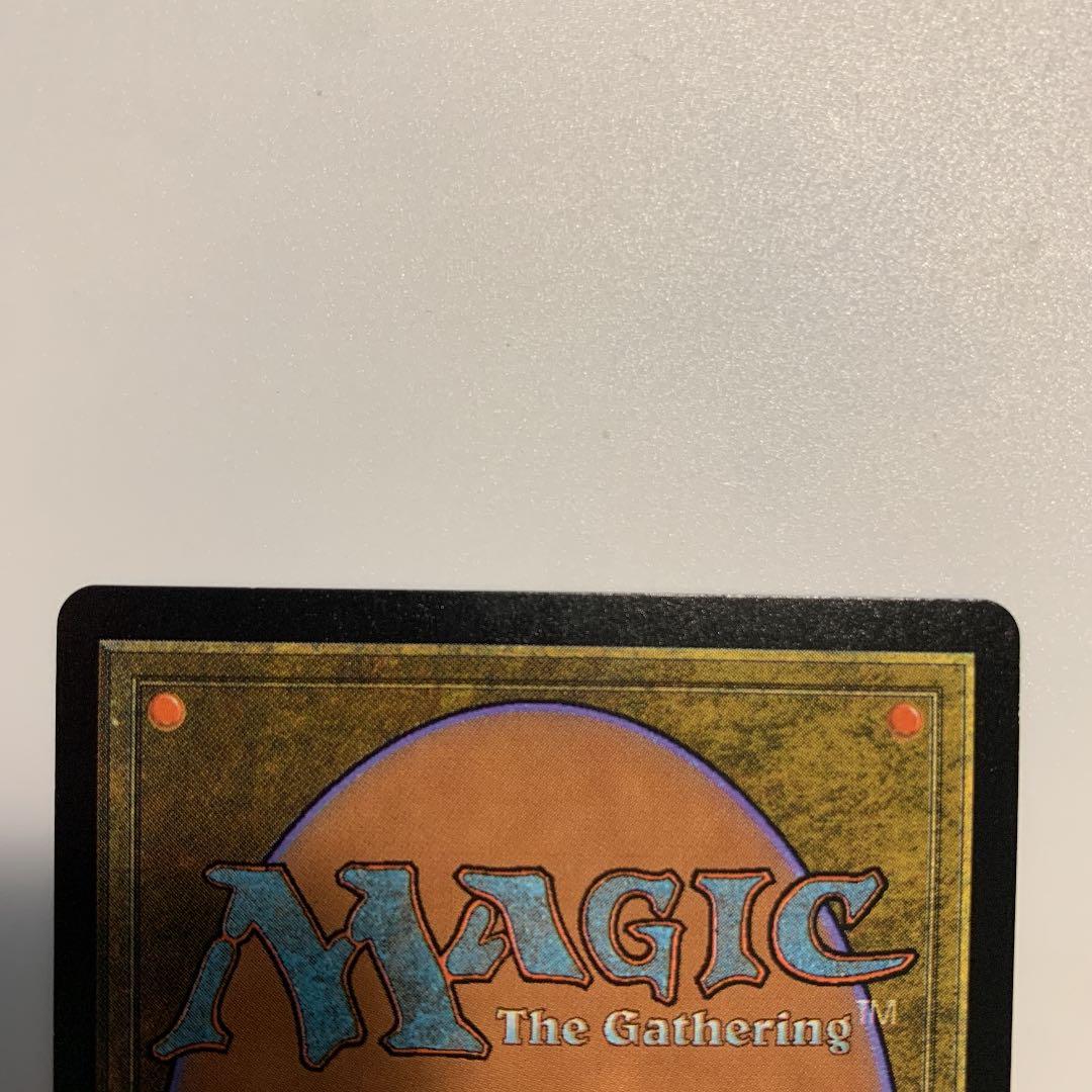 MTG 霧裂きのハイドラ　サインfoil 日本語1 値下げ