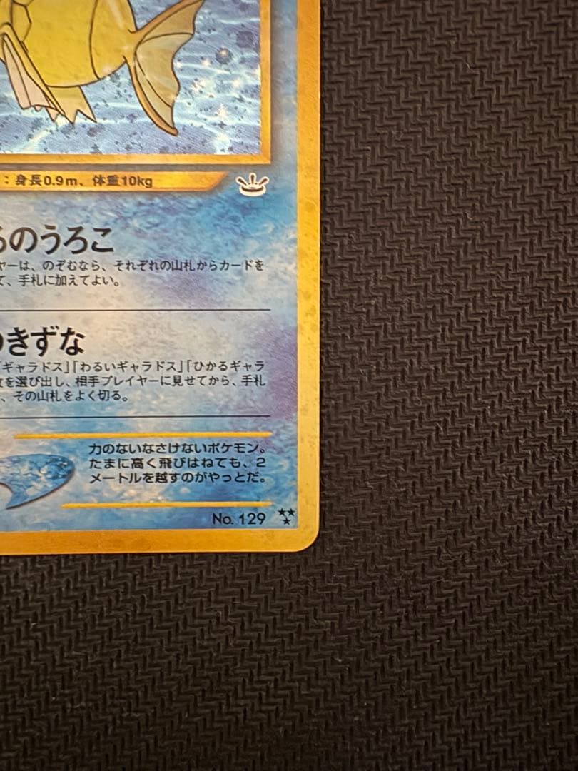 ひかるコイキング 旧裏①