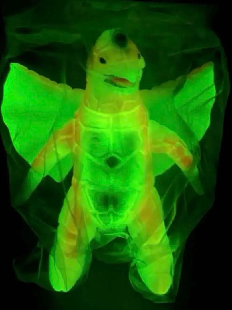 レア■ ブルマァク 彗星怪獣 ドラコ 腹黄色 蓄光 スタンダードサイズ ソフビ