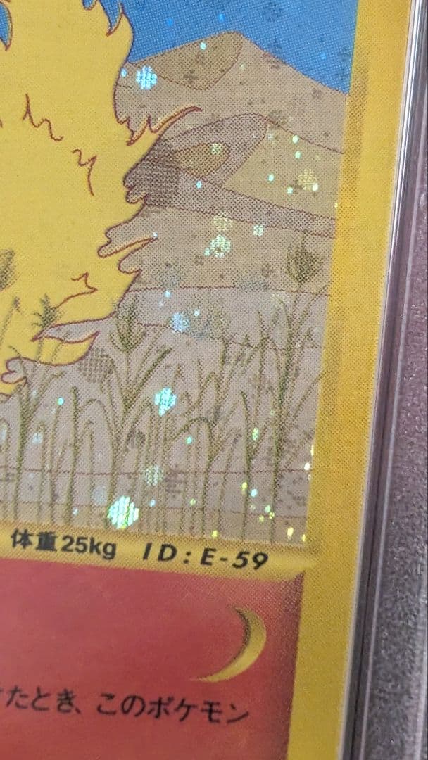 PSA10 ブースター　カードe 017/088 1st ホロ　キラ　裂けた大地