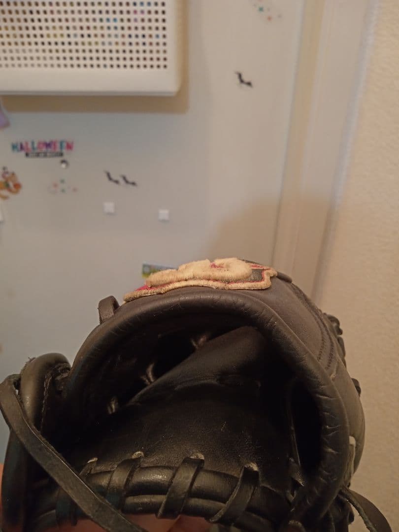 オールラウンド 軟式グローブ 　大人用 ウィルソング