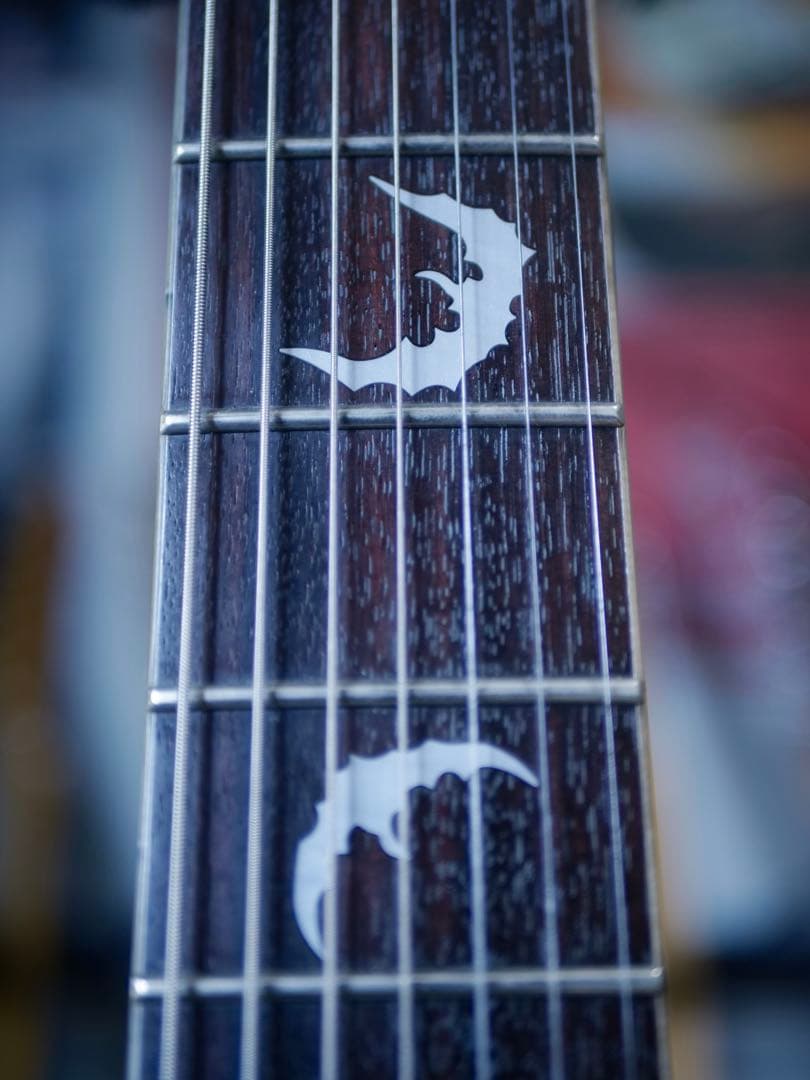 SCHECTER DAMIEN PLATINUM-7 SBK 7弦