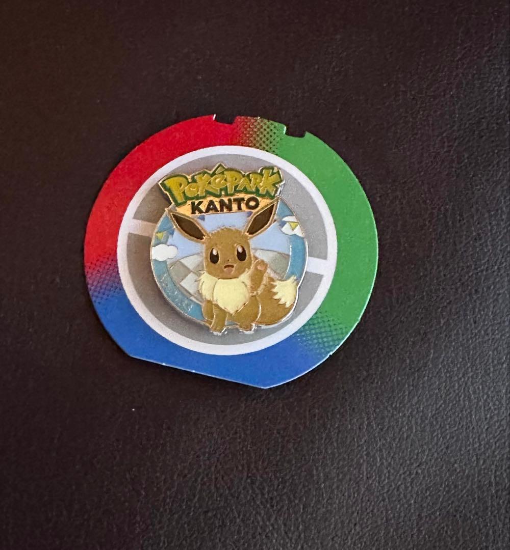ポケパーク カントー ピンバッジ ピカチュウ イーブイ セット
