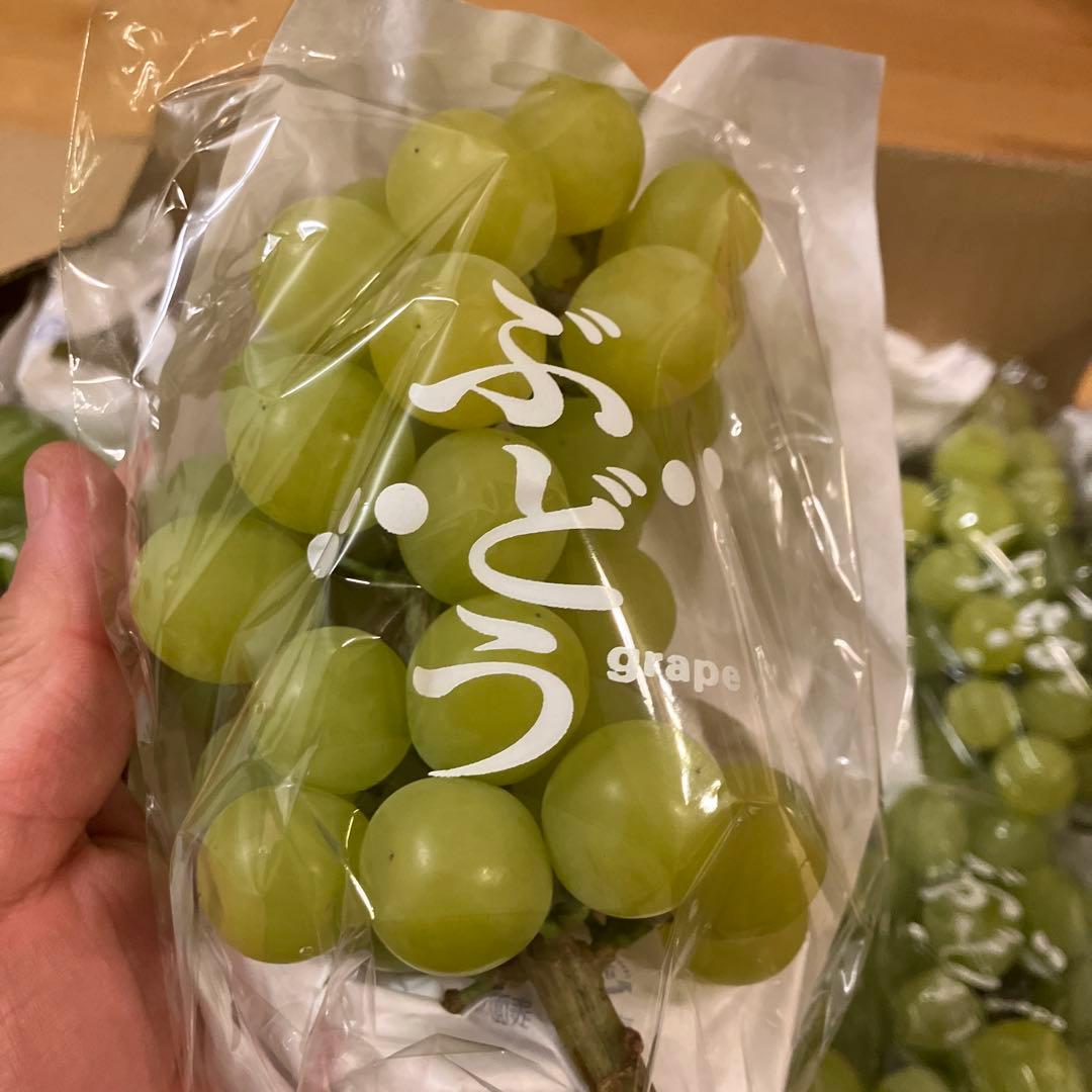 山梨県産訳ありシャイン　32房