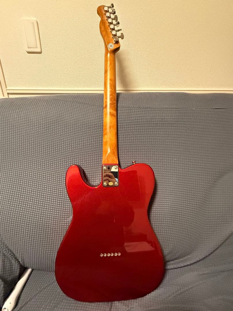 25.12月新品購入　Bacchus BTE-3-RSM H H テレキャスター