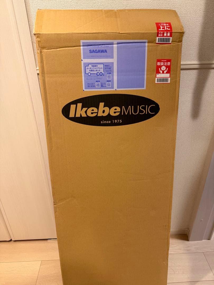 25.12月新品購入　Bacchus BTE-3-RSM H H テレキャスター