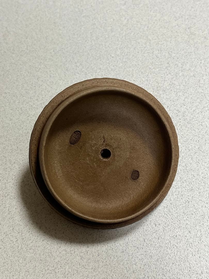 急須　茶器　白泥　中国　顧景舟