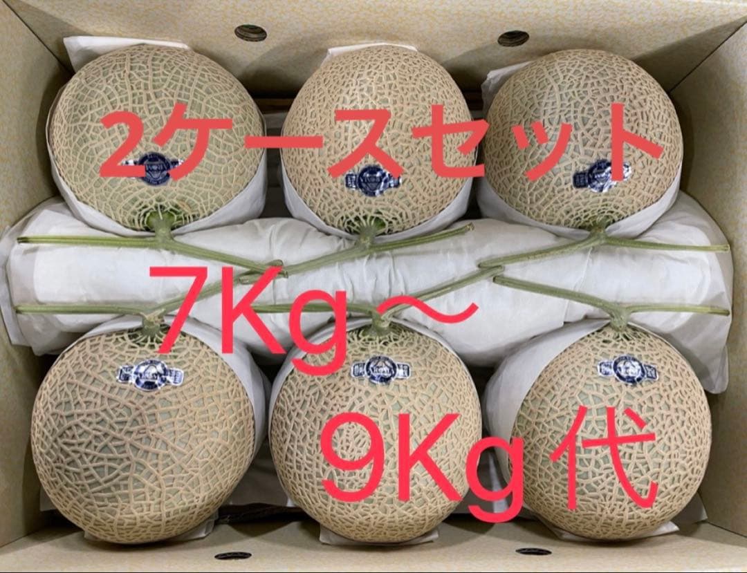 2ケースセット　静岡　アールスメロン
