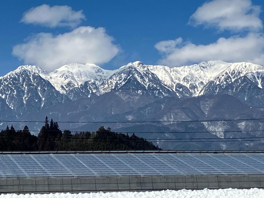 信州伊那のこしひかり、令和7年産の新米10ｋｇ。海藻肥料米です。