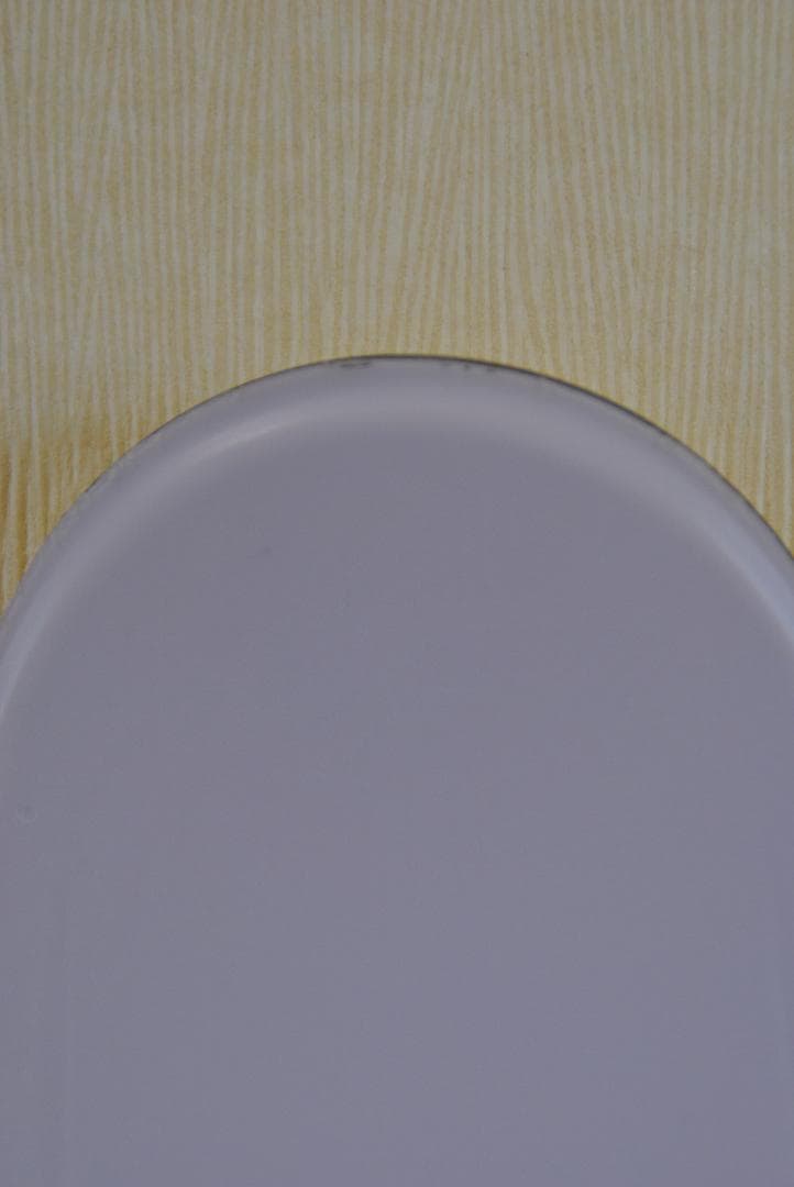 スキー板 VOLKL フォルクル REVOLT 81 158cm