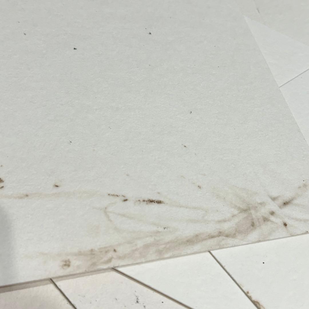 HEAD GRAPHITE COMP XL MID PLUS トリコロールカラー