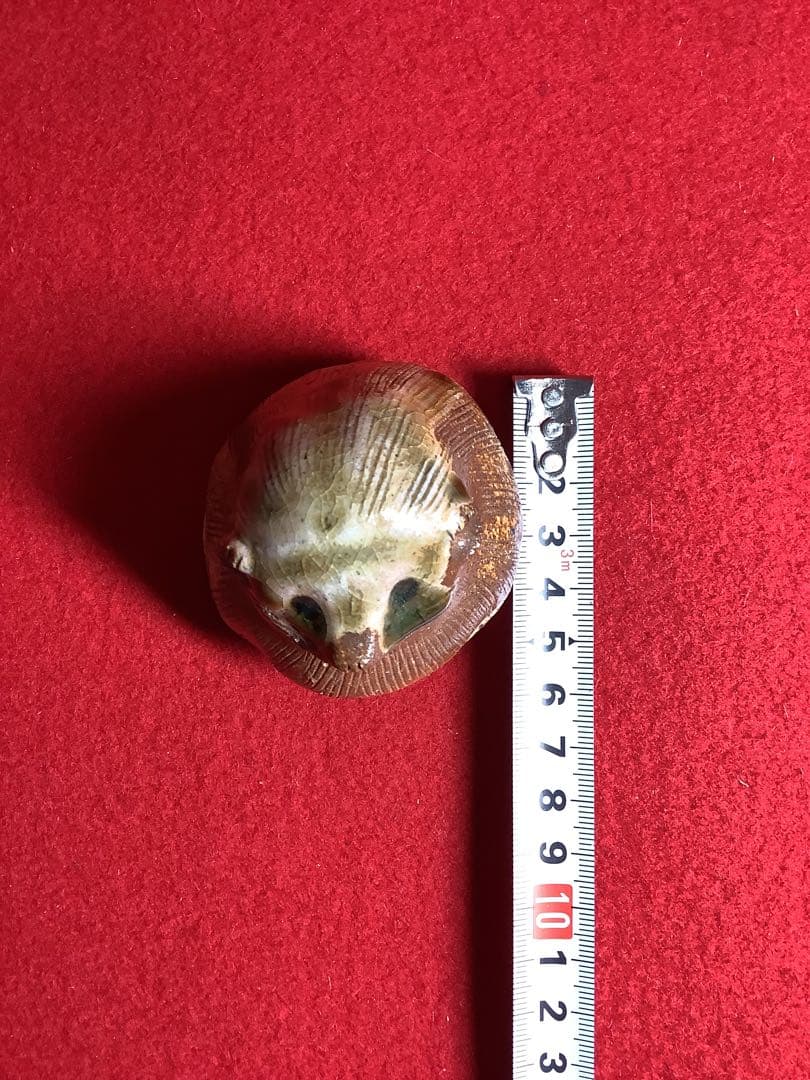 香合　信楽焼　狸　香斉【中古美品】