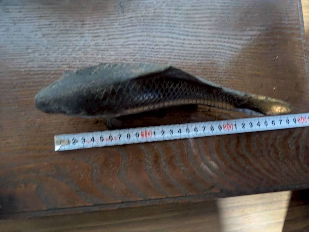 金属製 鯉の置物 約15cm