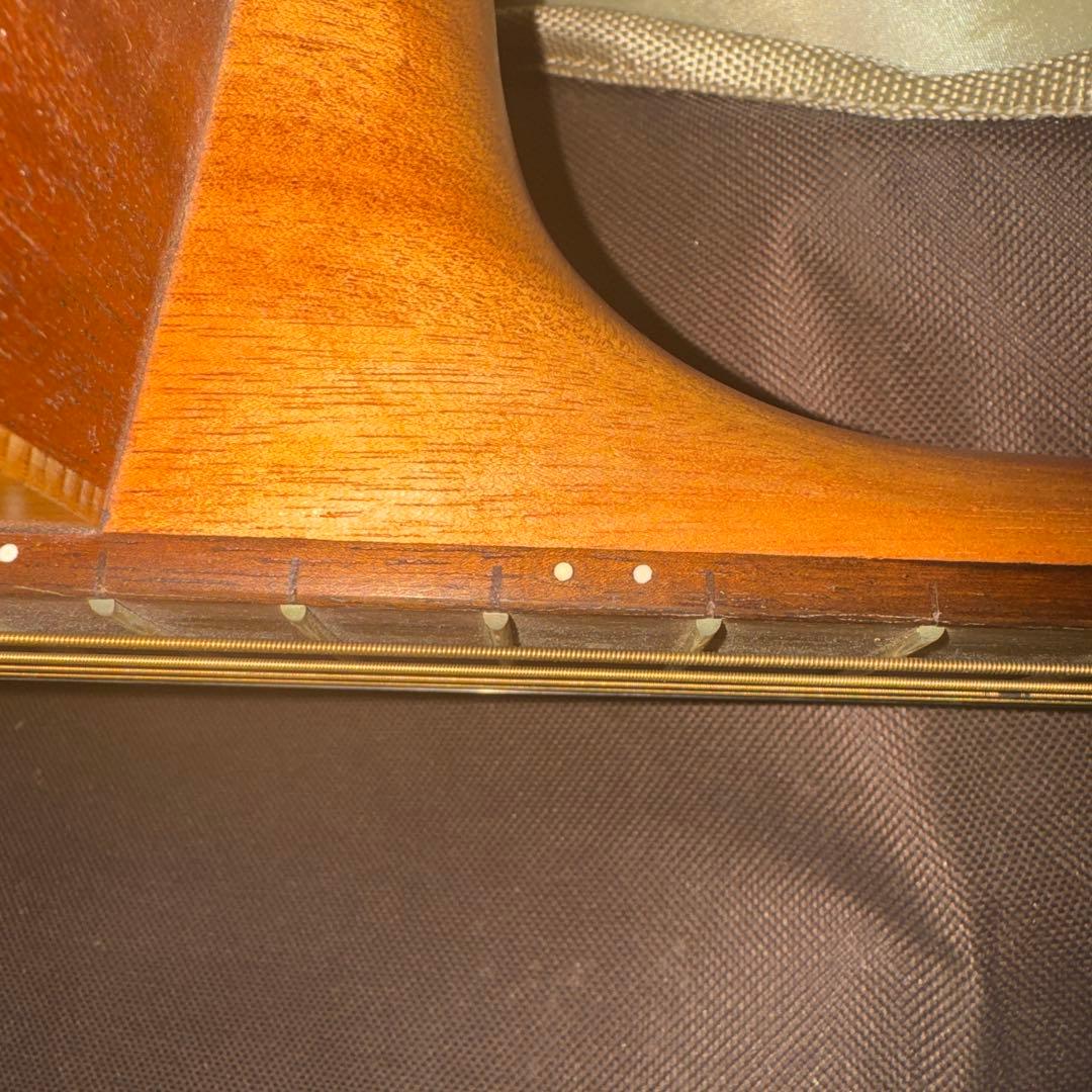 Cort Earth Mini OD アコースティックギター