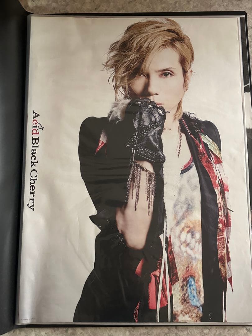 Acid Black Cherry ポスター　35種セット