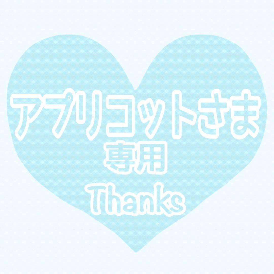 ♡アプリコットさま専用❶♡ トリミングチョーカー