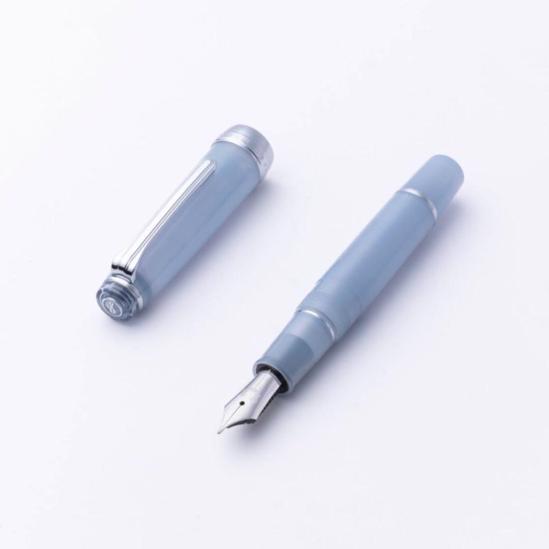 銀山スノーグレー・万年筆 パルム　EF