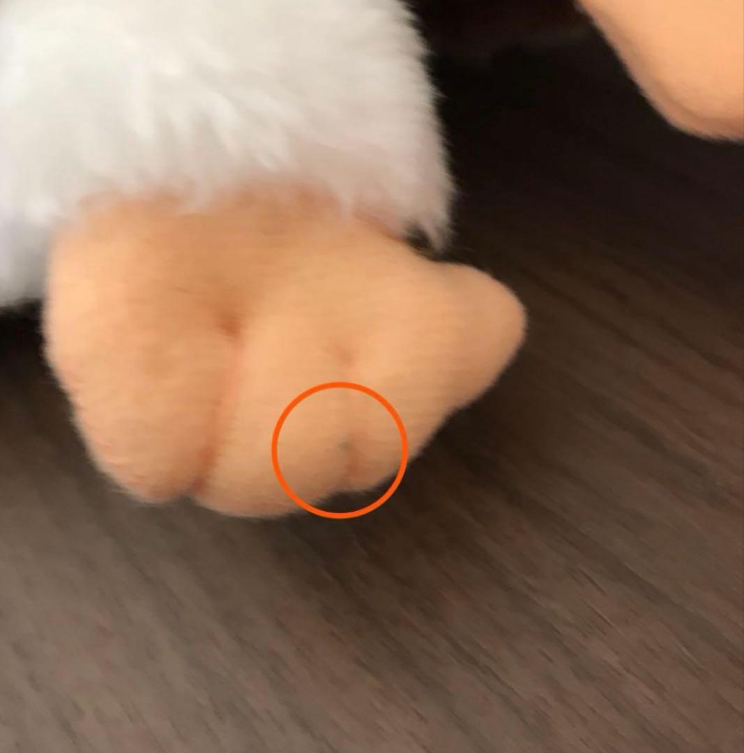 グレムリン　ギズモ　ぬいぐるみ　ビッグサイズ　完売　希少　レア