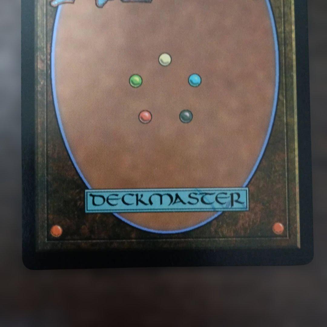 モ*ー様 【エラーカード】旅するチョコボ