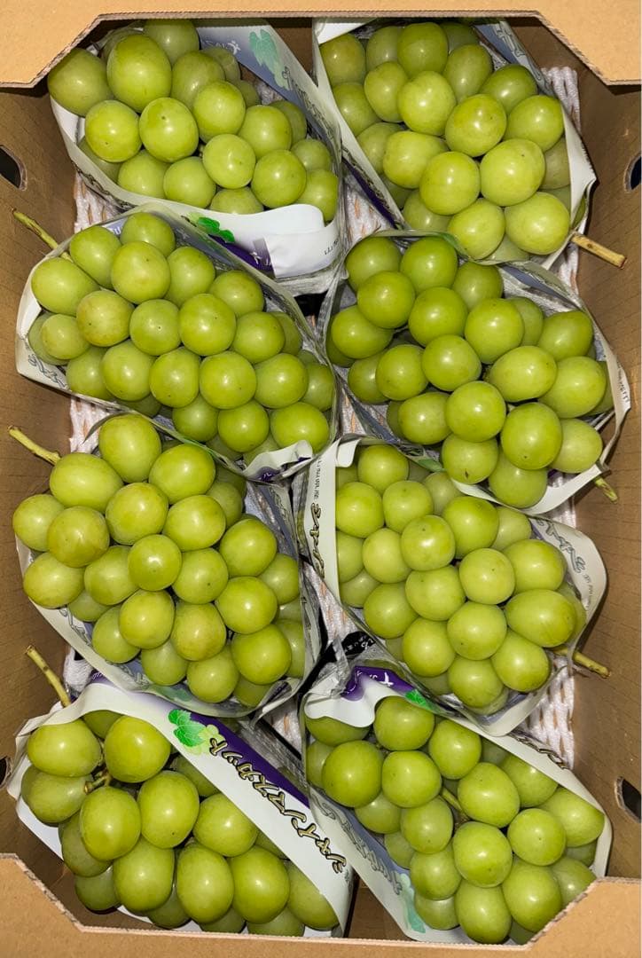 山梨県産JA共選品シャインマスカット⭐️8房入り箱込み約5.6キロ