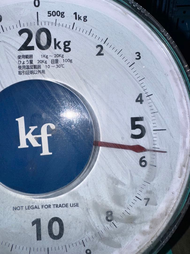 山梨県産JA共選品シャインマスカット⭐️8房入り箱込み約5.6キロ