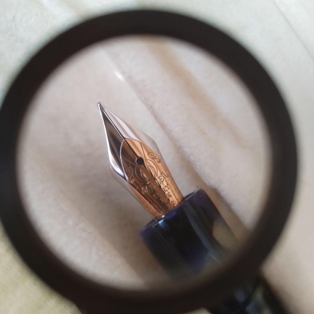 【未使用保管品・希少】MARLEN マーレン　バイタスキー　万年筆