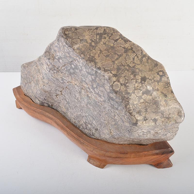 鑑賞石　天然石　梅花石　置物　重さ約10㎏　唐木台付　C 6361C