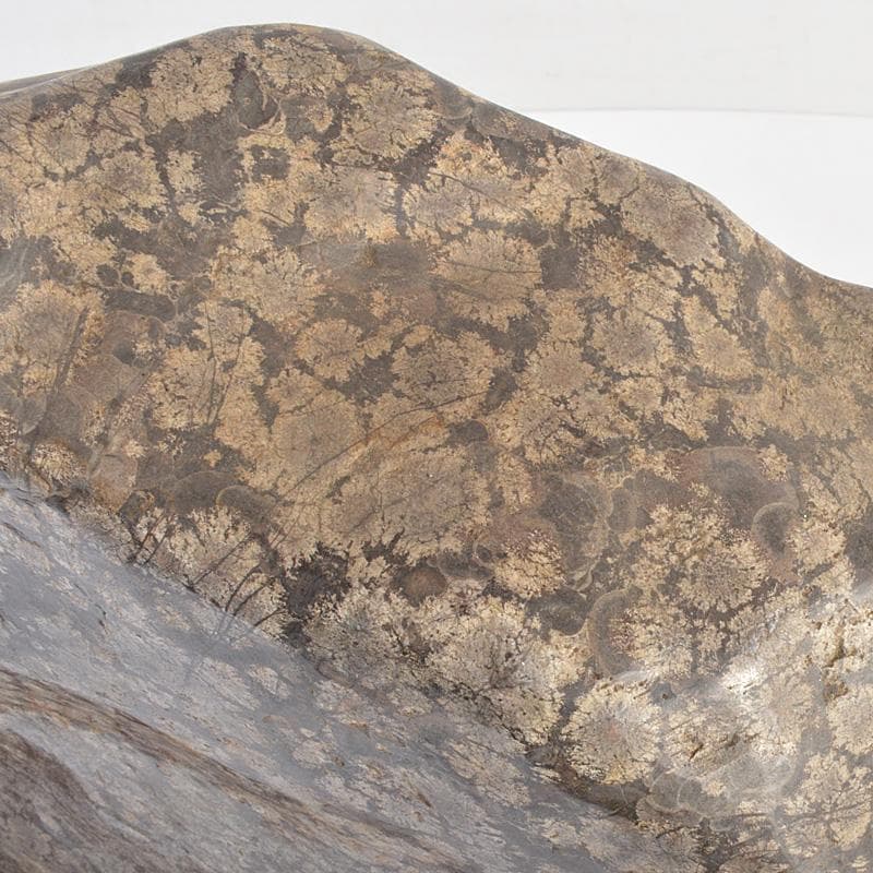 鑑賞石　天然石　梅花石　置物　重さ約10㎏　唐木台付　C 6361C