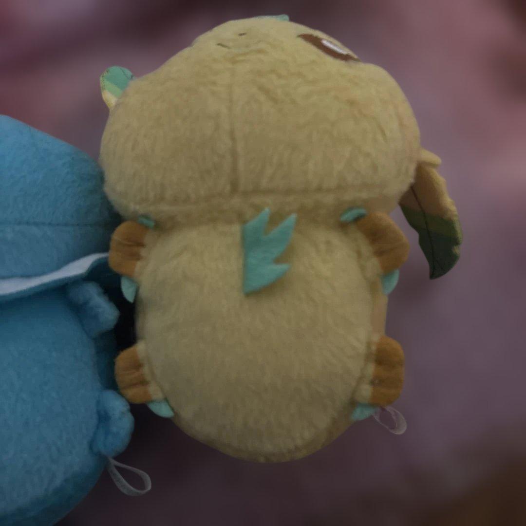 ポケモンころりんブイズ9種セット(ちむ)