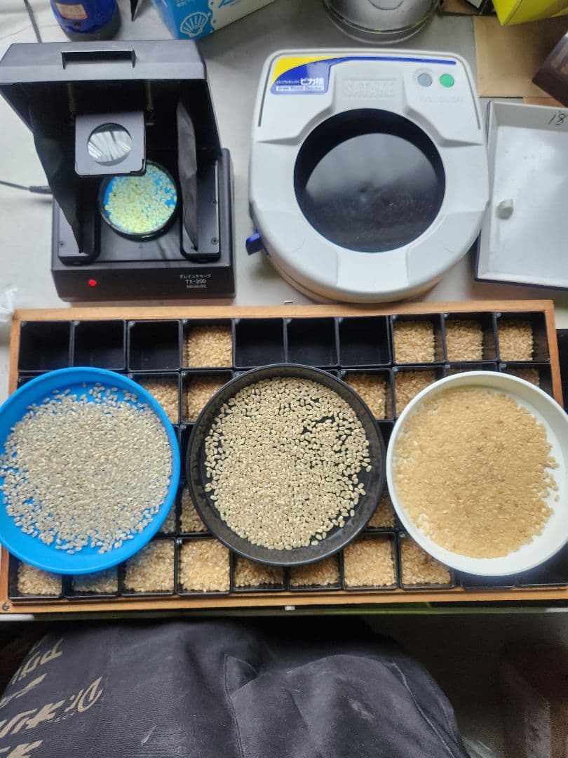 令和5年産米福島県玄米コシヒカリ30㎏ 精米加工済