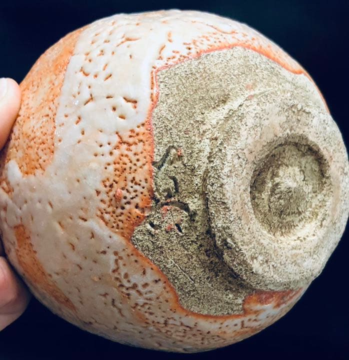 究極の美◼️蔵から美しい夕焼け色に鈴蘭が描かれた抹茶茶碗が出てきました。茶道具