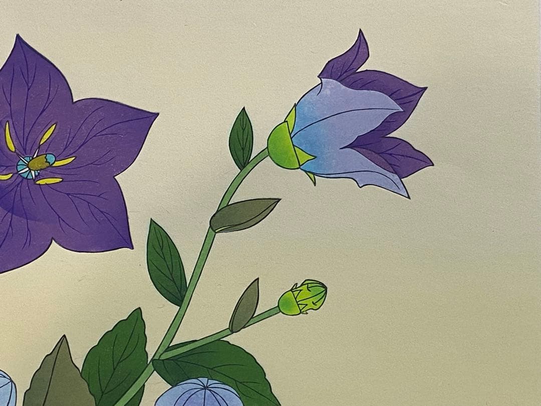 中島千波作　桔梗　リトグラフ　111／250額装　箱付送料込み260121