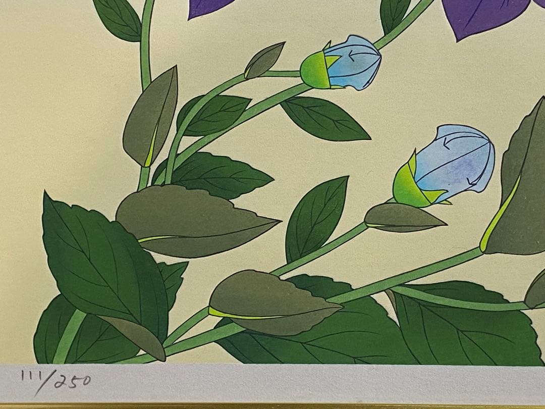 中島千波作　桔梗　リトグラフ　111／250額装　箱付送料込み260121