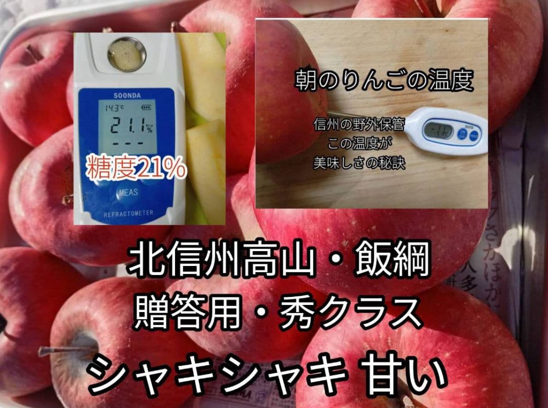 糖度21%！秀フジ・贈答用クラス10キロ【シャキシャキ】信州高山村産フジ